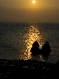 6J3P3785+.jpg