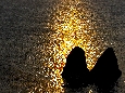 6J3P3791+.jpg