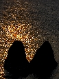 6J3P3801+.jpg
