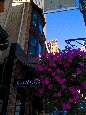 R0011214.jpg