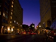 IMGP0505.jpg