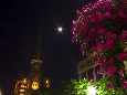 IMGP0719+.jpg
