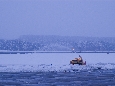 IMGP1773+.jpg