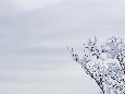 _J3P0414+.jpg