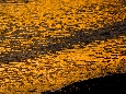 _J3P8002+.jpg