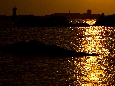 _J3P8026+.jpg