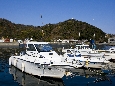 _J3P8184+.jpg