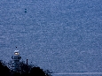 _J3P8206+.jpg