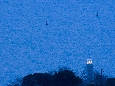 _J3P8216+.jpg