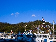 _J3P8233+.jpg