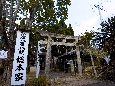 _J3P8447+.jpg