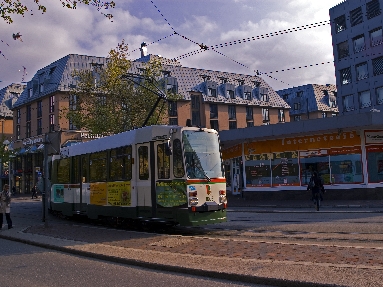 IMGP2751.jpg