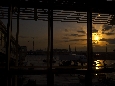 IMGP2692.jpg