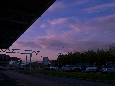IMGP2699.jpg