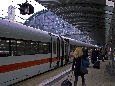 IMGP2758.jpg