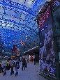 IMGP2781.jpg