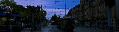 IMGP2796.jpg