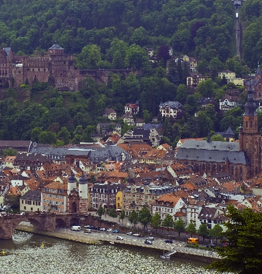 IMGP2978.jpg