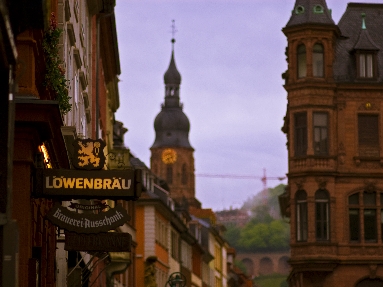 IMGP2828.jpg
