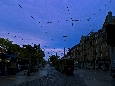 IMGP2796.jpg