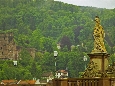 IMGP2865.jpg