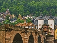 IMGP2867.jpg