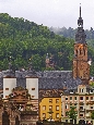 IMGP2881.jpg