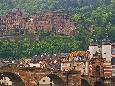 IMGP2894.jpg