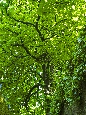 IMGP2941.jpg