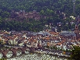 IMGP2978.jpg