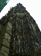 IMGP3037.jpg