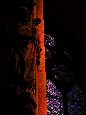 IMGP3072.jpg