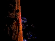 IMGP3073.jpg