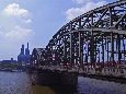 IMGP3119.jpg