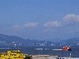 IMGP3765.jpg