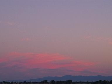 IMGP4491.jpg