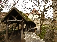 _J3P7950.JPG