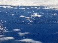 _45W1725.jpg