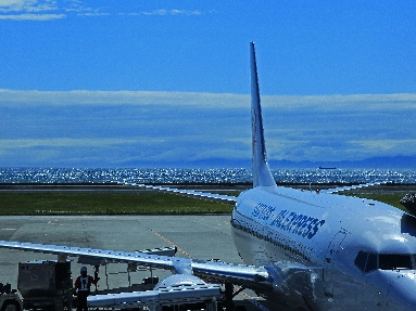 _45W1714.jpg