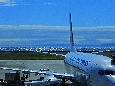 _45W1714.jpg
