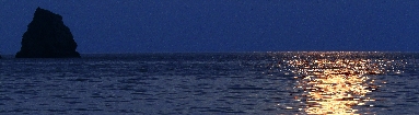 _45W5961.jpg
