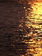 _45W5966.jpg