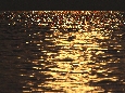 _45W5989.jpg