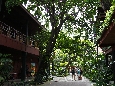 _45W7056.JPG