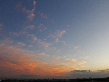 _45W0594+.jpg