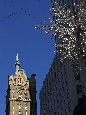 _45W9957+.jpg