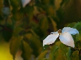 _45W6750.JPG
