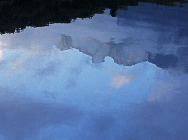 _45W8219.JPG