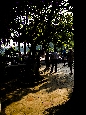 _IGP2504+.jpg