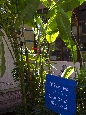 _45W3608+.jpg